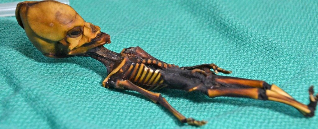 El misterio de este diminuto esqueleto «alienígena» ha sido finalmente resuelto