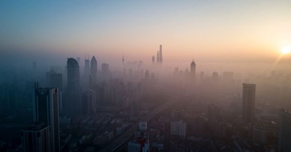 El aire puro es ahora un símbolo de estatus en las ciudades más contaminadas del mundo