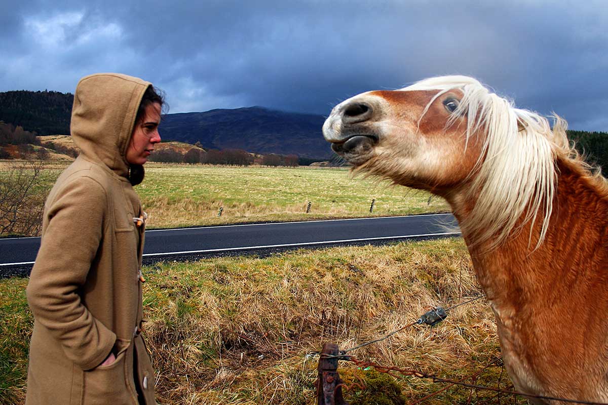 Los caballos recuerdan si sonreías o fruncías el ceño cuando te vieron por última vez