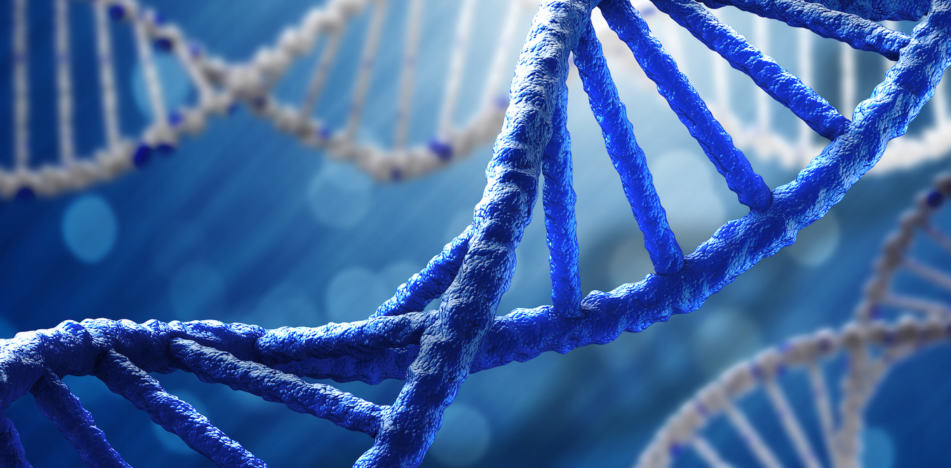 Investigadores británicos acaban de terminar de secuenciar 100 000 genomas humanos