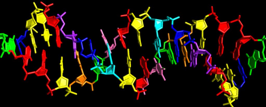 Por primera vez, científicos han creado ADN sintético con 4 letras adicionales