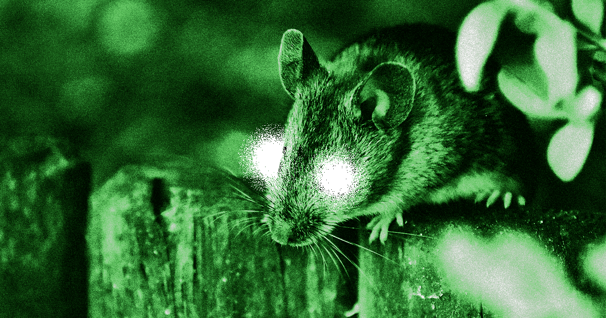 Nanopartículas han dado visión nocturna a ratones