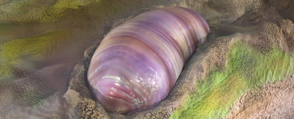 Este gusano primitivo podría ser el ancestro de todos los animales