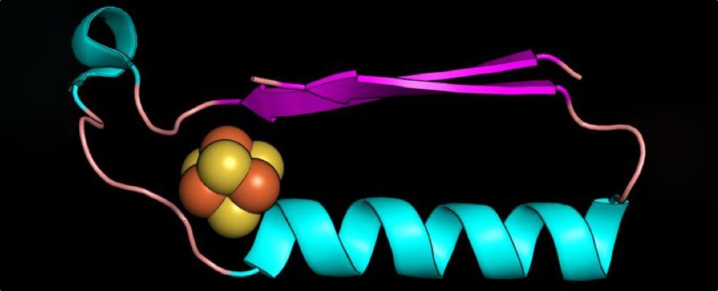 Científicos podrían haber descubierto la forma de las primeras proteínas que comenzaron la vida
