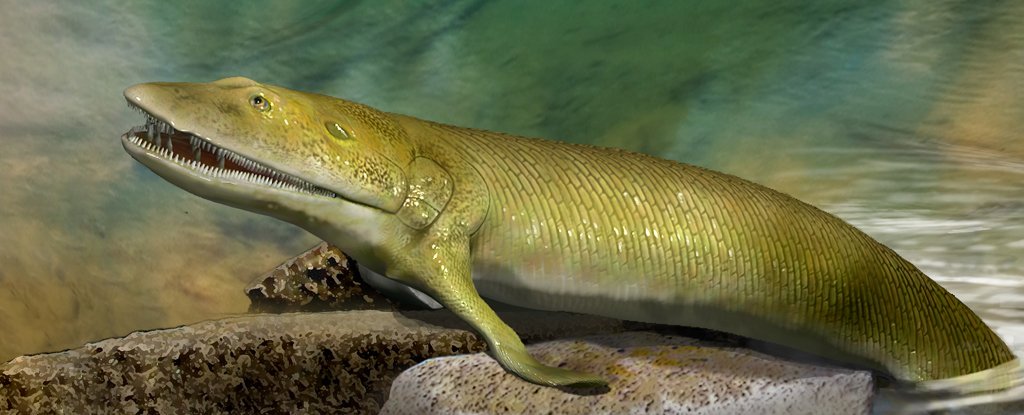 Este pez antiguo representa la evidencia evolutiva más antigua conocida de los dedos