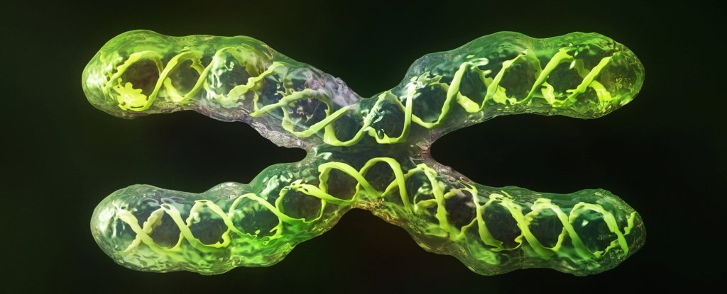 Por primera vez, científicos han secuenciado completamente un cromosoma humano