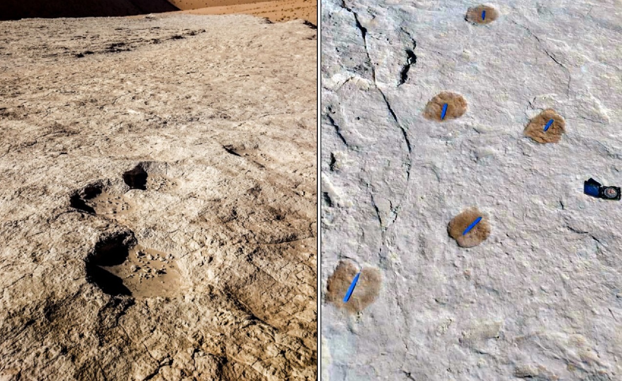 Investigadores descubren huellas de humanos de hace 120 mil años en Arabia Saudita