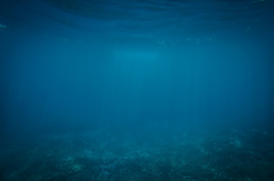 El aumento de la temperatura del océano nos está exponiendo a una amenaza global