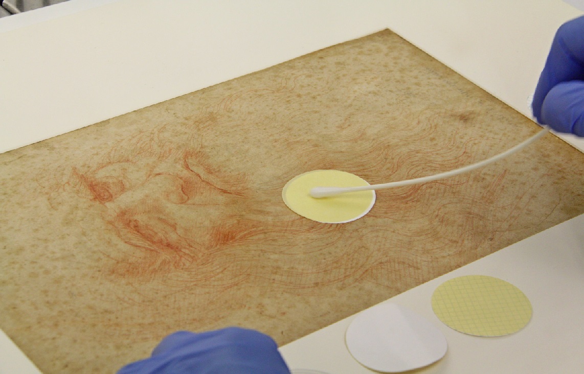 Los dibujos de Da Vinci tienen un ecosistema de microbios único