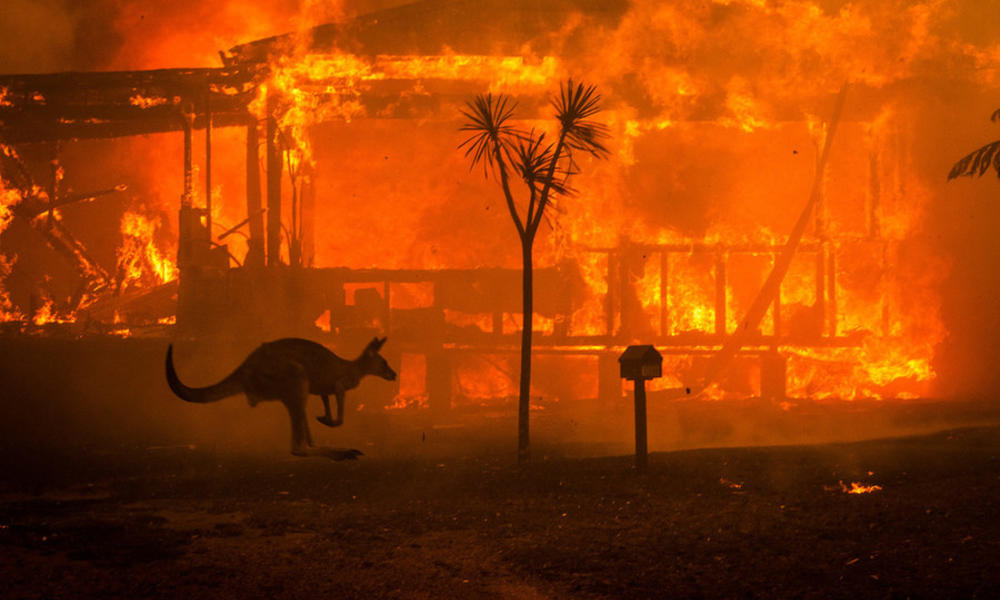 Incendios forestales, olas de calor y huracanes fueron más intensos en 2020