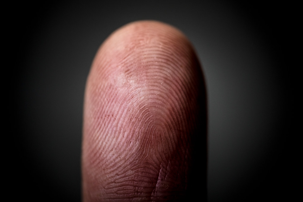 Las yemas de nuestros dedos son mucho más sensibles de lo que imaginamos