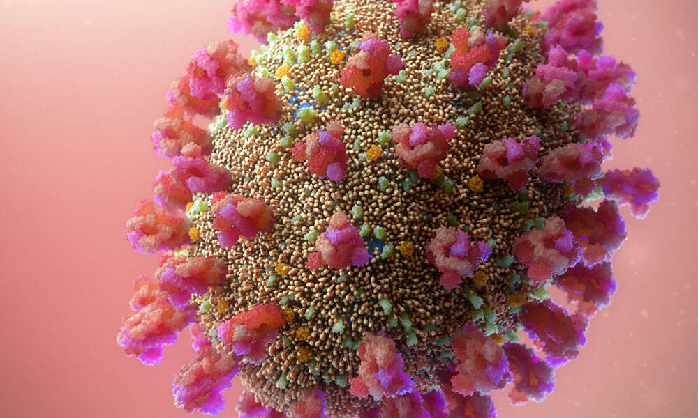 La COVID 19 provoca una respuesta celular “inesperada” en los pulmones