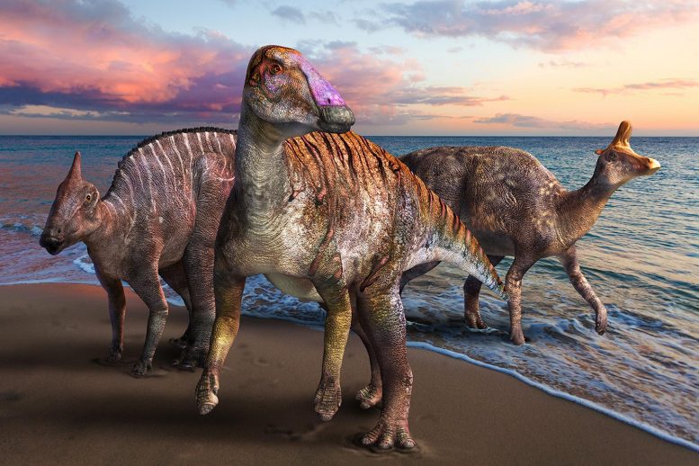 Yamatosaurus: el nuevo dinosaurio «pico de pato» descubierto en Japón