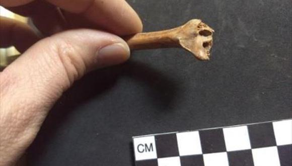 Humanos habitaron América 20 mil años antes de lo que se pensaba, sugiere reciente hallazgo en México