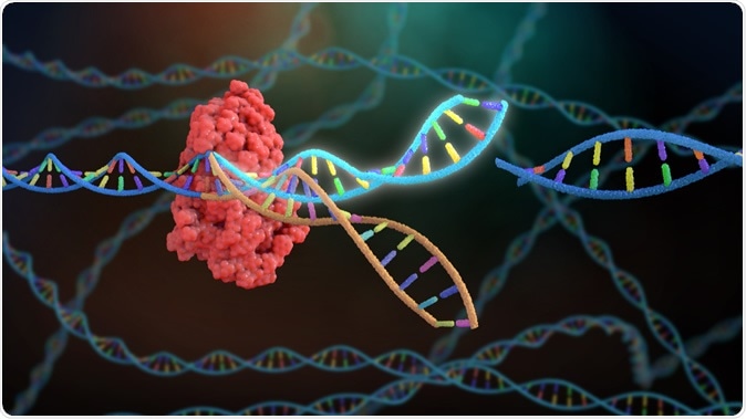 CRISPR/Cas: científicos prueban por primera vez la herramienta de edición genética por vía intravenosa