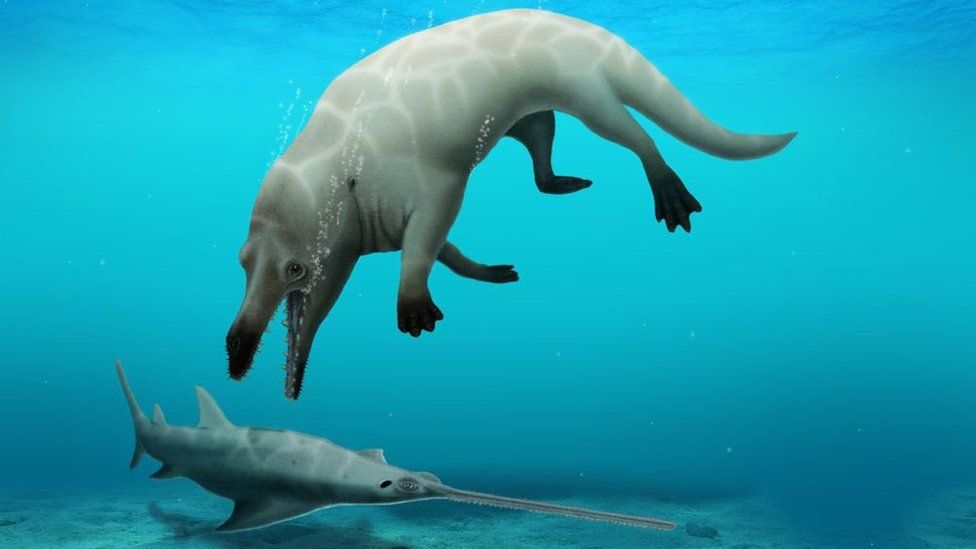 Científicos descubren el fósil de una ballena anfibia con cuatro patas en Egipto