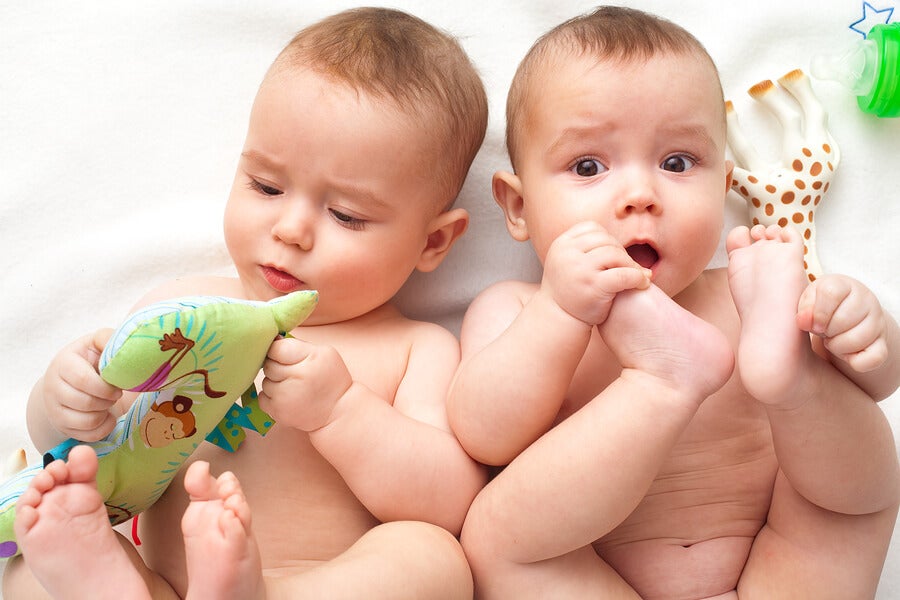 Nuestro ADN puede decirnos si compartimos el útero con un gemelo desaparecido antes de nacer