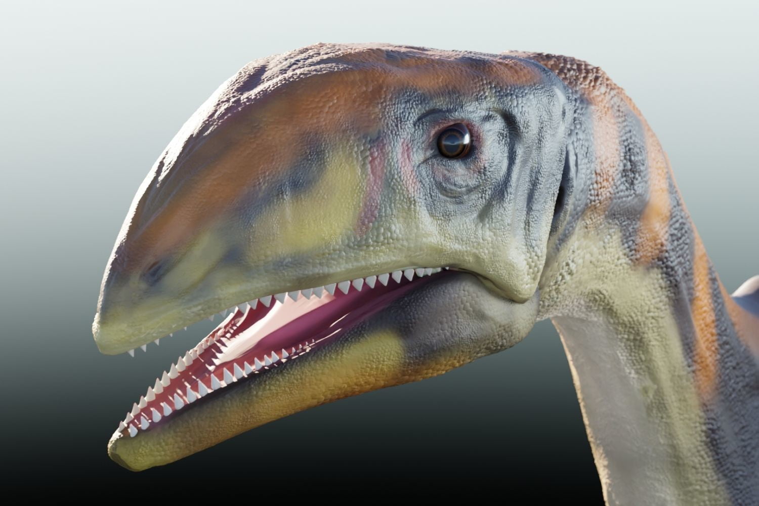 «Hueso frío»: paleontólogos describen la primera especie de dinosaurio groenlandés