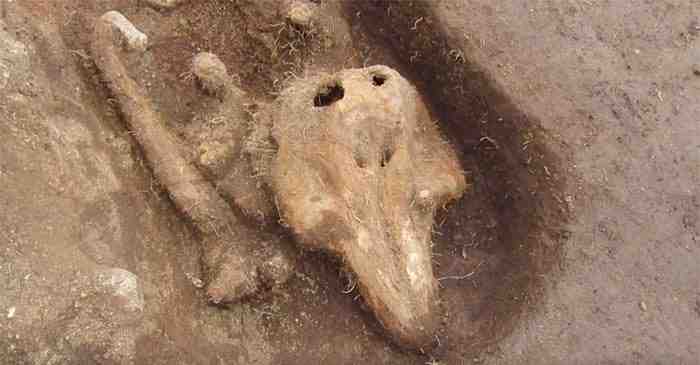 El contenido de una tumba medieval desconcierta a los arqueólogos