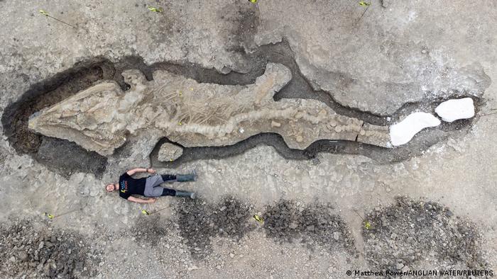 Descubren el fósil del «dragón marino» más grande jamás hallado en Gran Bretaña