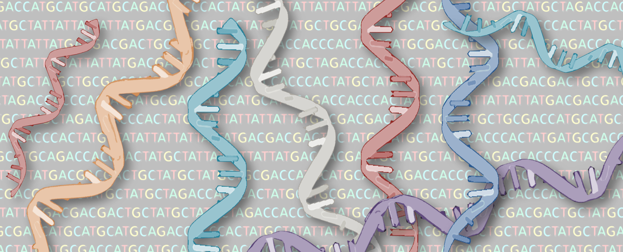 Científicos desarrollan una herramienta para controlar los procesos de transcripción del ADN