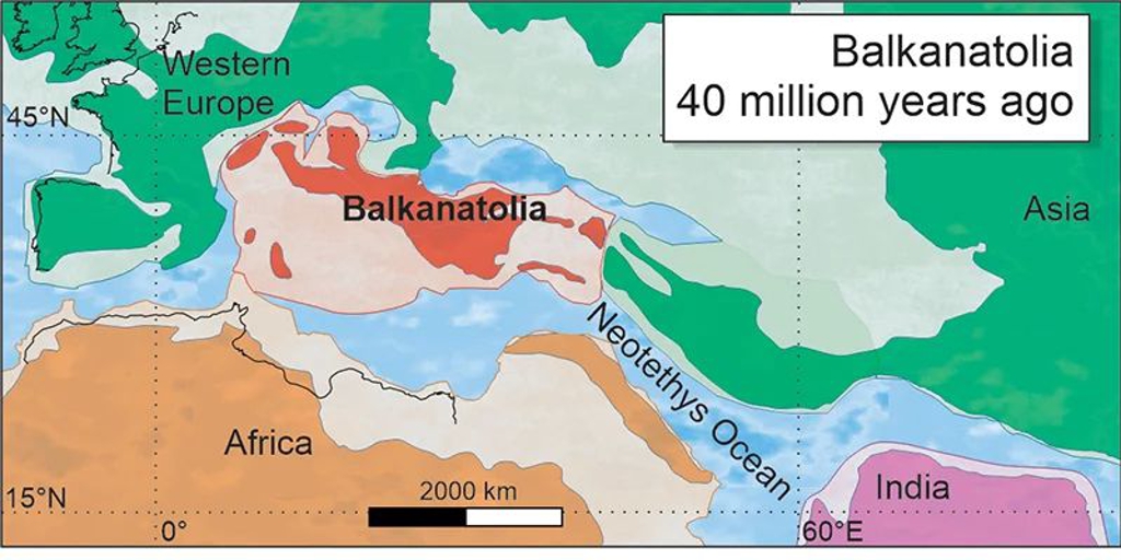 Paleontólogos redescubren un continente olvidado de casi 40 millones de años