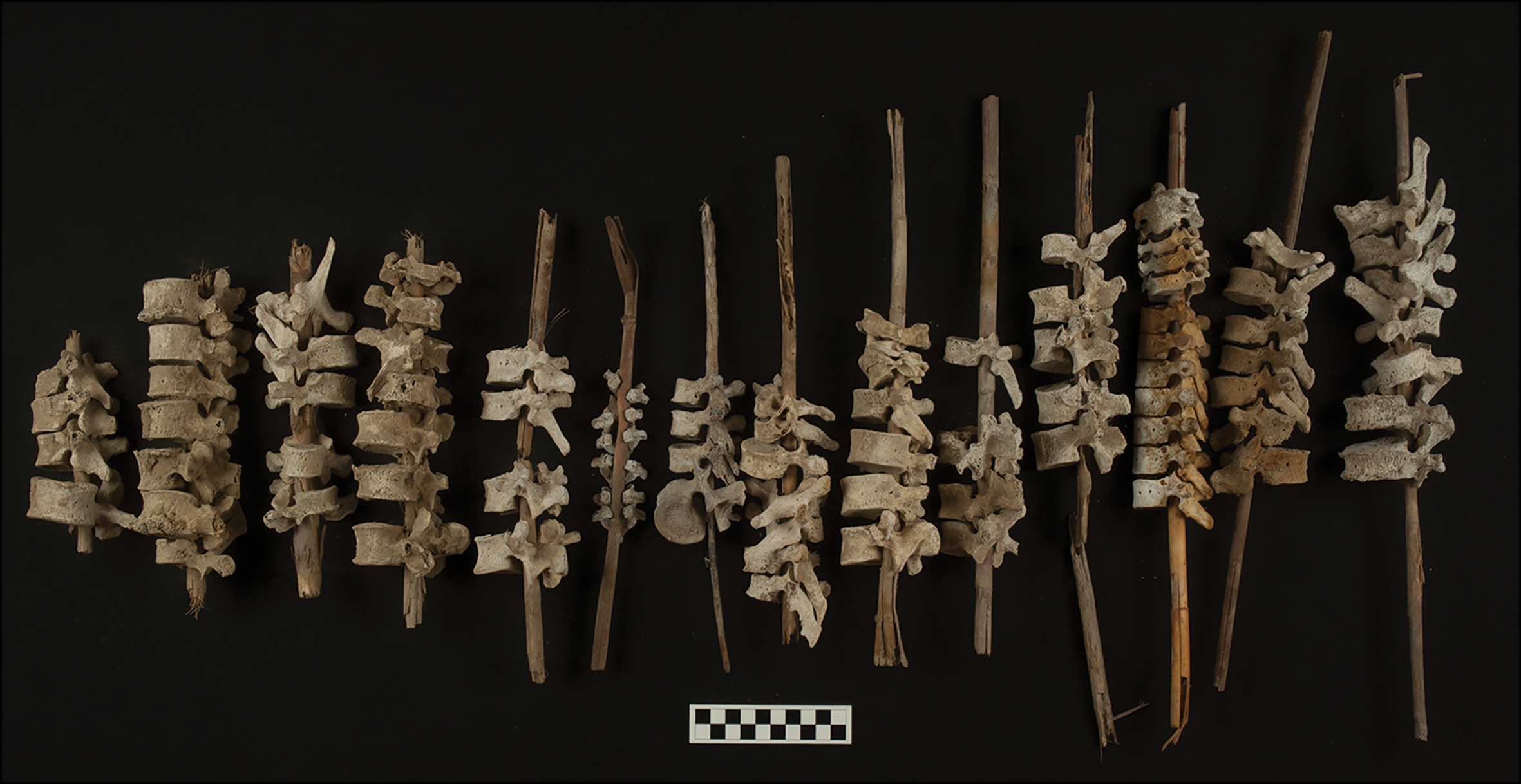 Encuentran en Perú vertebras humanas ensartadas en varas de madera