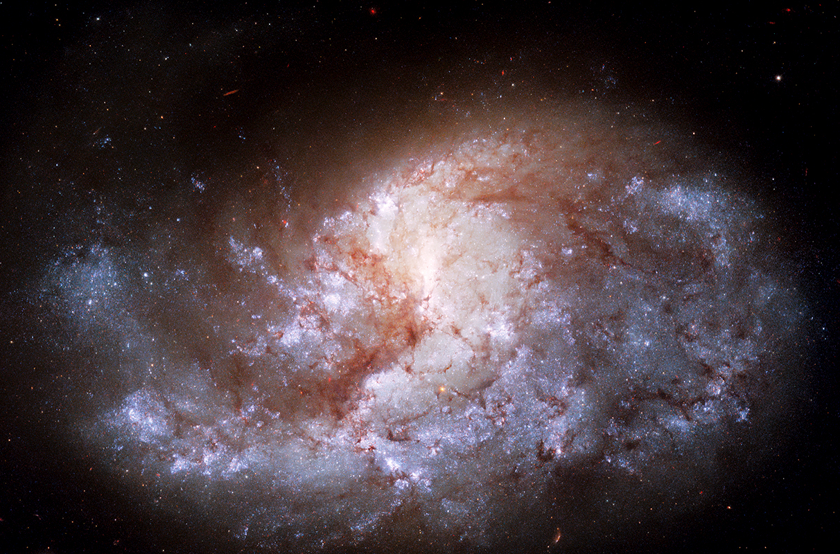 Astrónomos habrían encontrado los misteriosos agujeros negros de masa intermedia ocultos en todo el universo