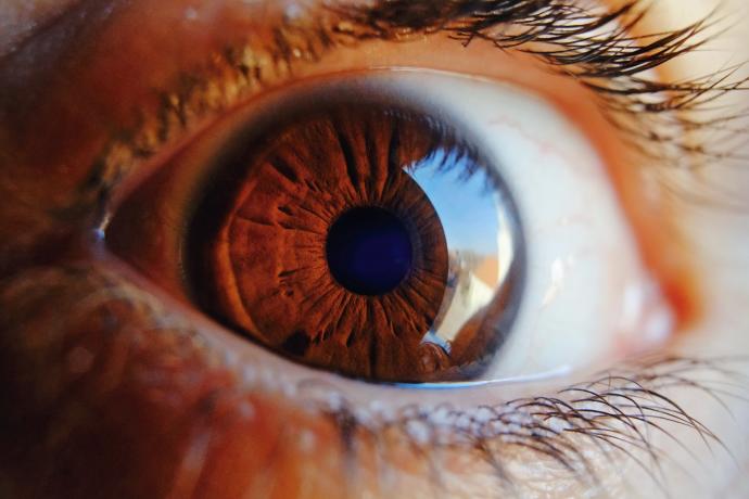 Tus pupilas pueden revelar si padeces una extraña condición de «ceguera mental»