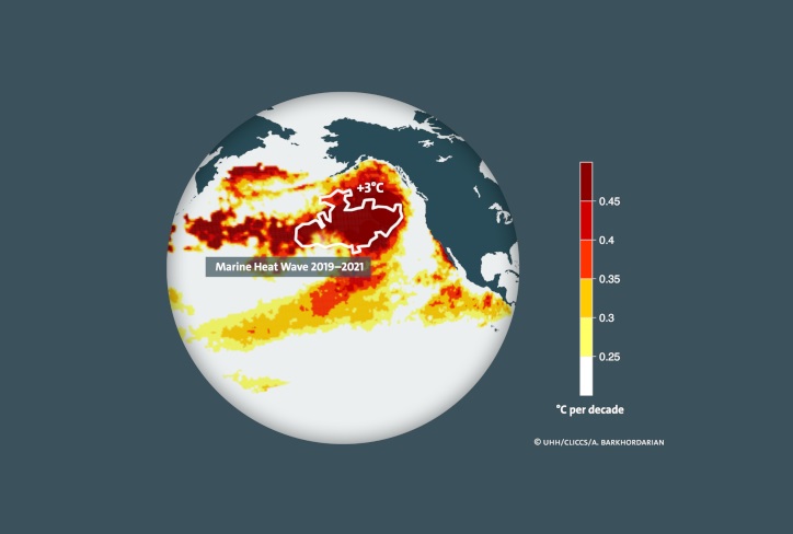 El origen del mortal «Blob» del Océano Pacífico es el calentamiento global