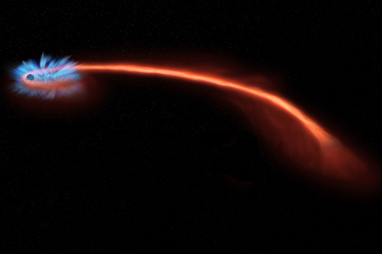 Un agujero negro «espaguetizó» una estrella, y los astrónomos pudieron aprender mucho en el proceso
