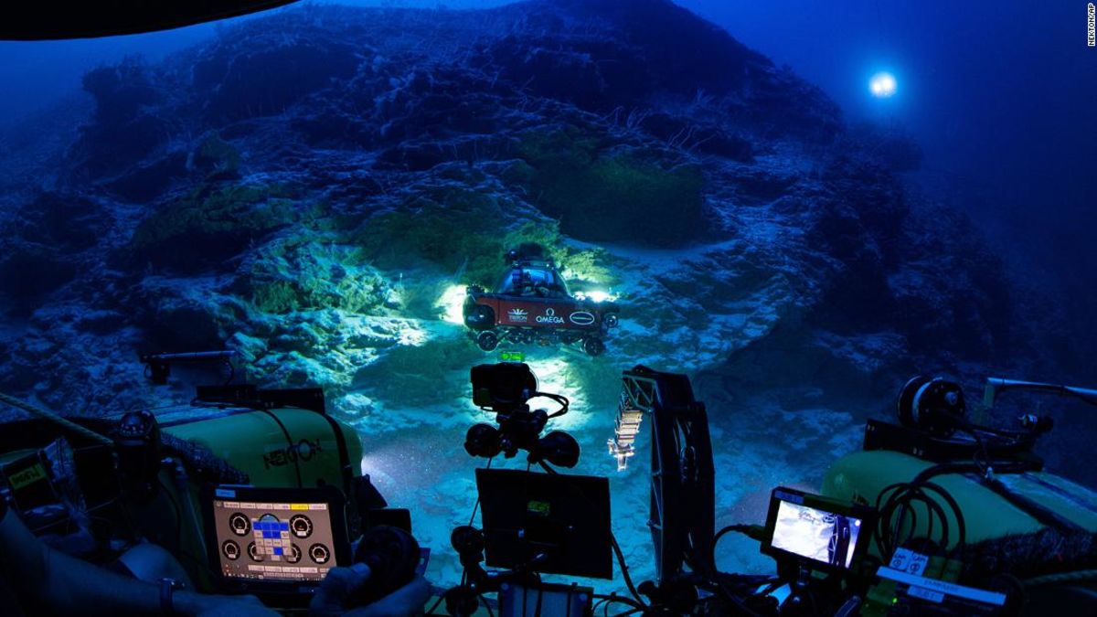 Una misión submarina ha revelado un nuevo tipo de ecosistema a 500 metros bajo las Maldivas