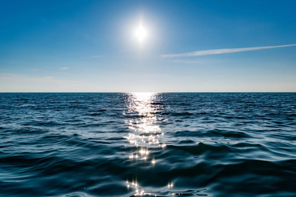 Científicas piden que se reconozca a los océanos como entidades vivas con derechos intrínsecos