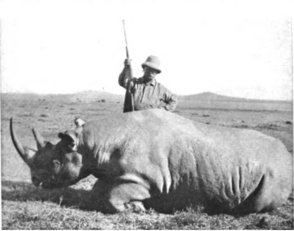 Los cuernos de los rinocerontes son más pequeños a consecuencia de la caza furtiva