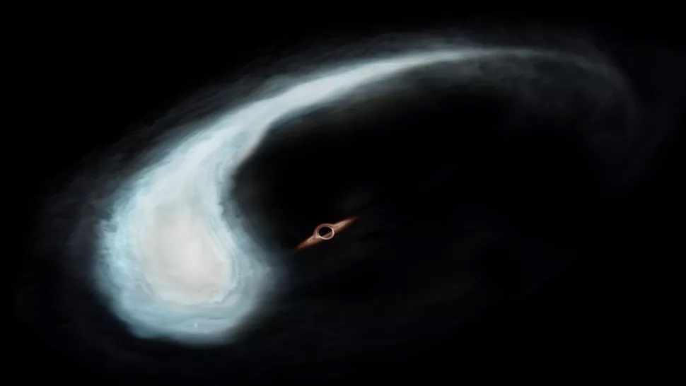 Astrónomos encuentran signos de un agujero negro “eslabón perdido” en la Vía Láctea