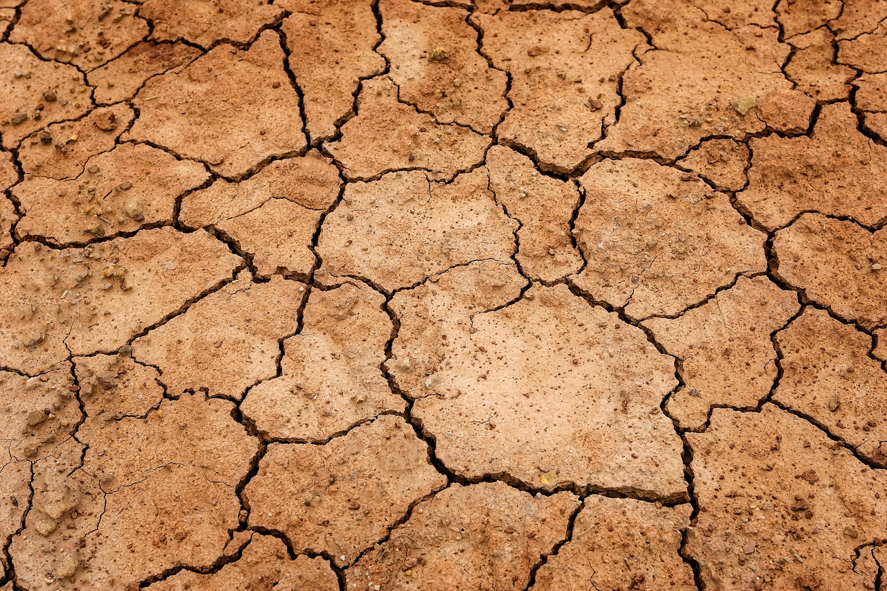Fenómenos climáticos como El Niño pueden sincronizar las sequías e incendios de todo el mundo