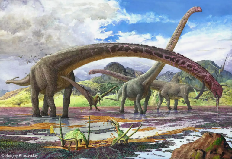 Nuevo estudio explica cómo los saurópodos podían mantener en equilibrio su largo cuello