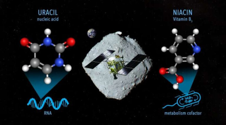 Científicos encuentran compuesto de ARN en el asteroide Ryugu