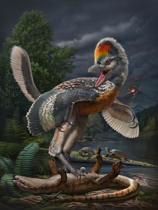 El eslabón perdido entre dinosaurios y aves vivía en un pantano y no en los árboles como el Archaeopterix