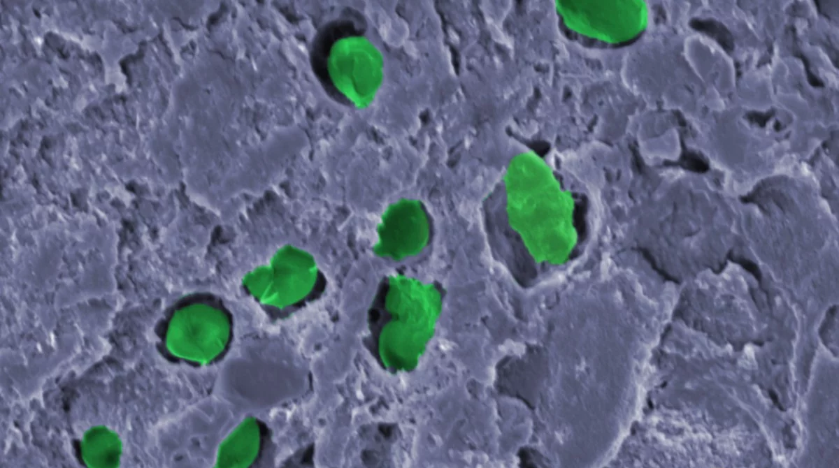 Científicos plantean crear oxígeno en Marte usando bacterias 