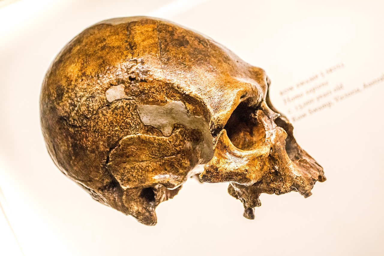 Nuestra relación con los neandertales se remonta a épocas inesperadas
