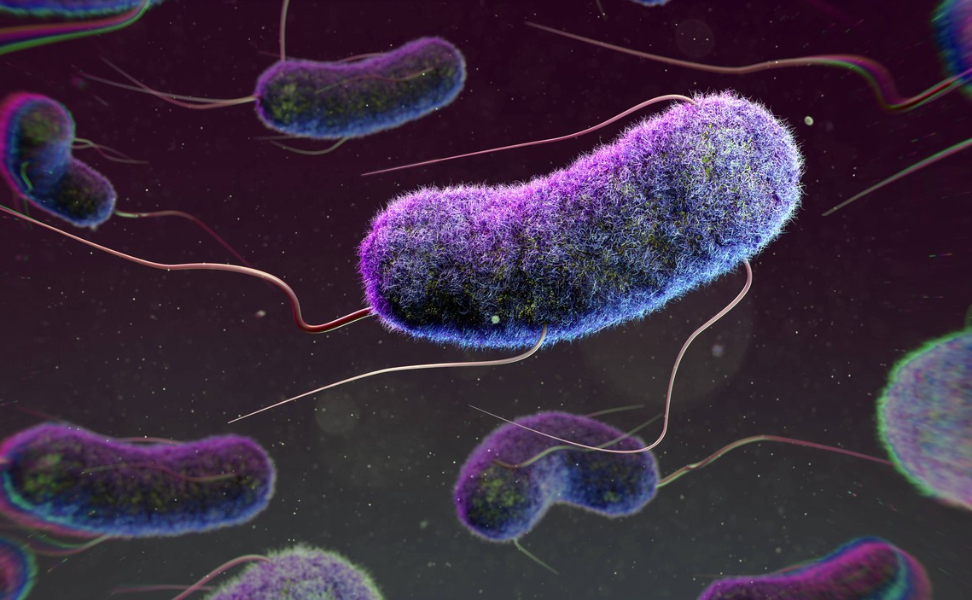 Científicos descubren que las bacterias tienen memoria transgeneracional