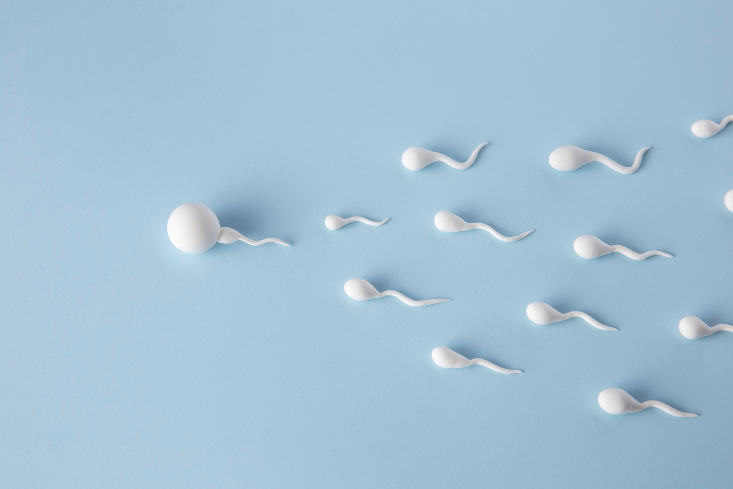 El microbioma del semen podría influir en la salud y fertilidad de los espermatozoides